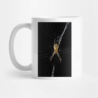 St Andrews Cross Spider Mug